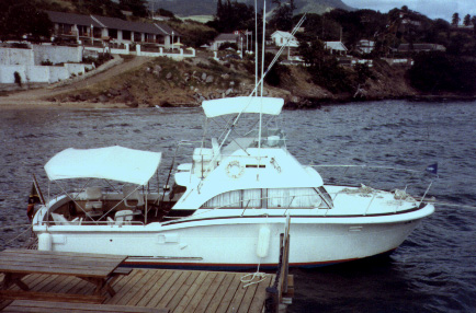 baracuda